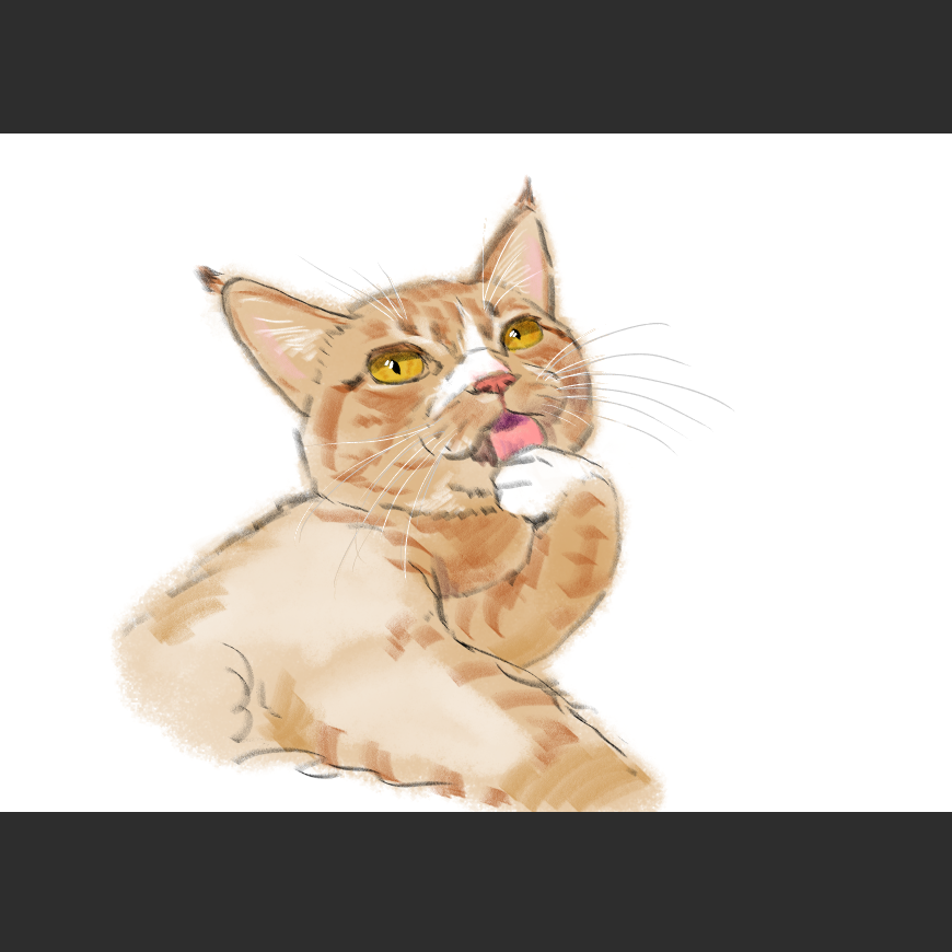 남으집 고양이_2.png