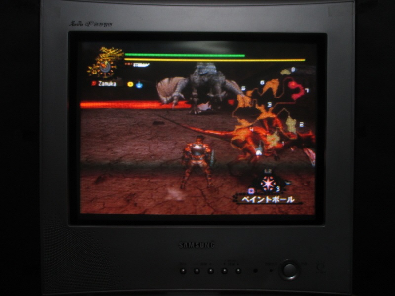 몬스터 헌터 도스 (13) - 브라운관 티비 화면_3.jpg