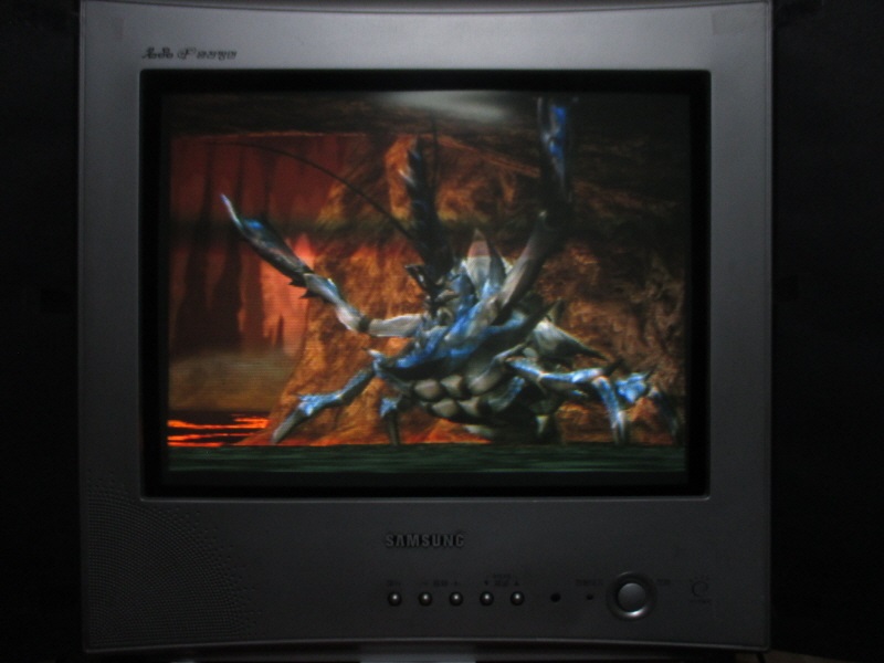 몬스터 헌터 도스 (13) - 브라운관 티비 화면_9.jpg