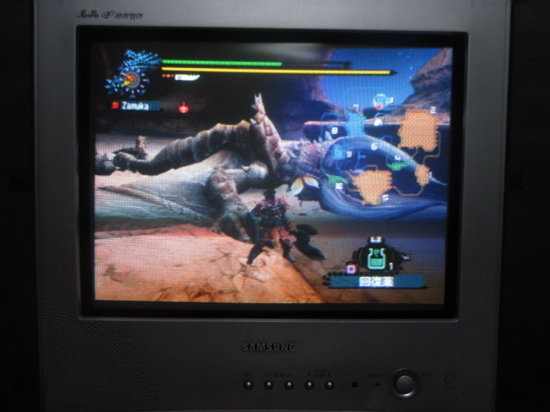 몬스터 헌터 도스 (13) - 브라운관 티비 화면_17.jpg