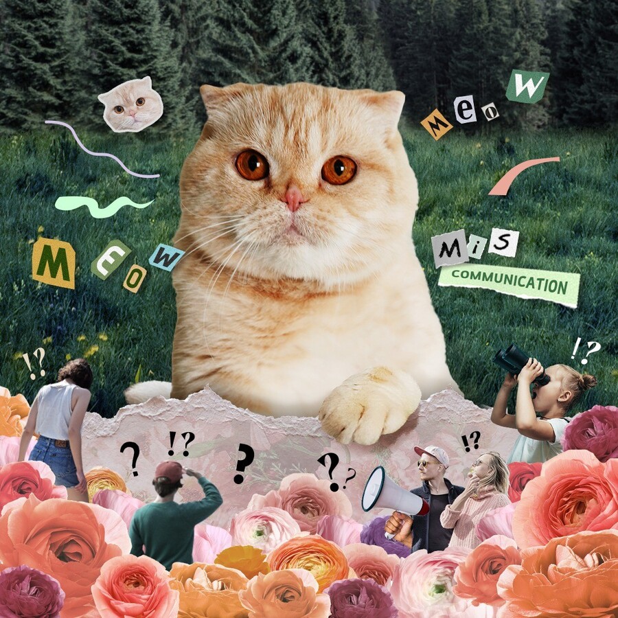 [만우절] 삼성 갤럭시 냥즈 출시_1.jpg