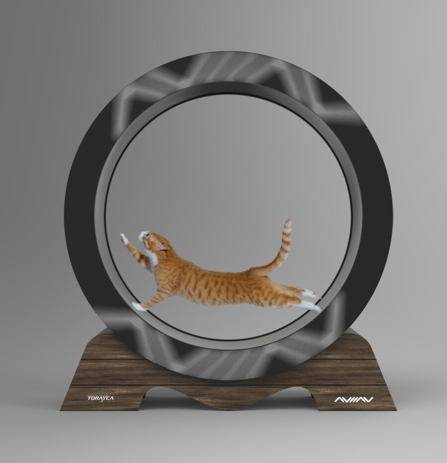 새로나온 캣 휠_3.jpeg