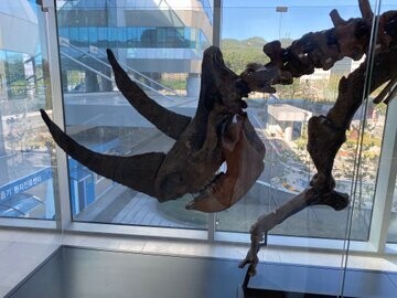 수상할 정도로 공룡(취미)에 진심인 병원_7.jpg