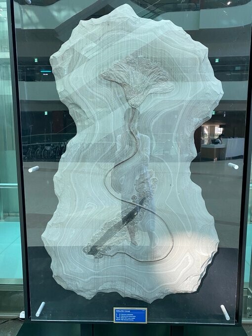 수상할 정도로 공룡(취미)에 진심인 병원_9.jpg