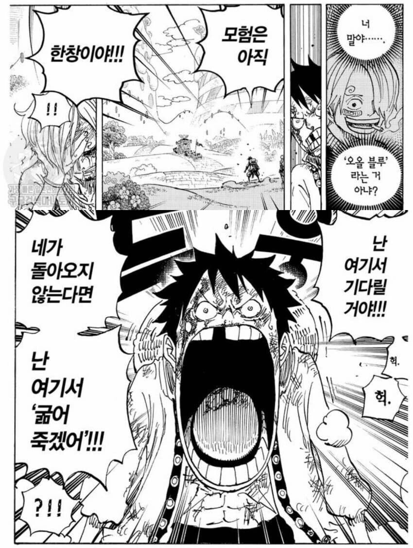 원피스) 루피 머리좋다는 밈 보고보면 소름돋는장면 많음ㅋㅋ_1.jpg