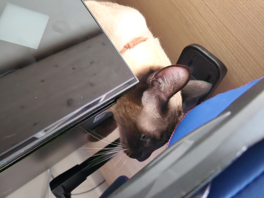 완제품으로 컴퓨터 사야 하는 이유!!!_4.jpg