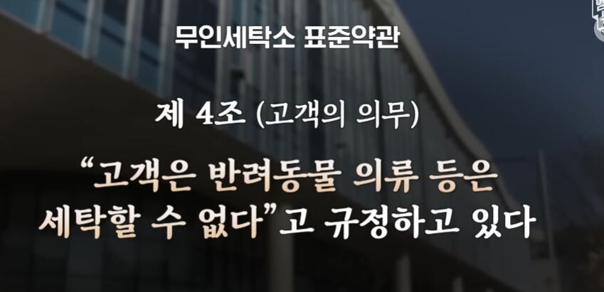 무인세탁소 동물 빨래 이슈 종결_1.jpg