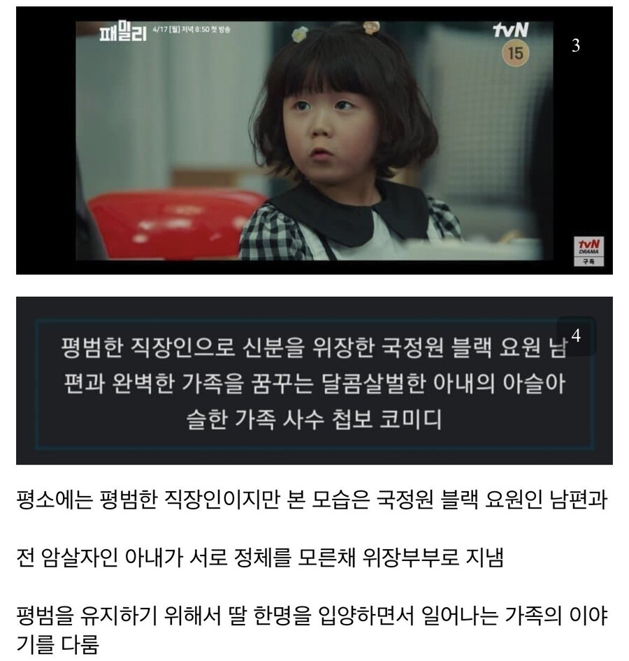 자꾸 스파이패밀리 베낀 한국 드라마라고 올라오는 글의 진실_2.png