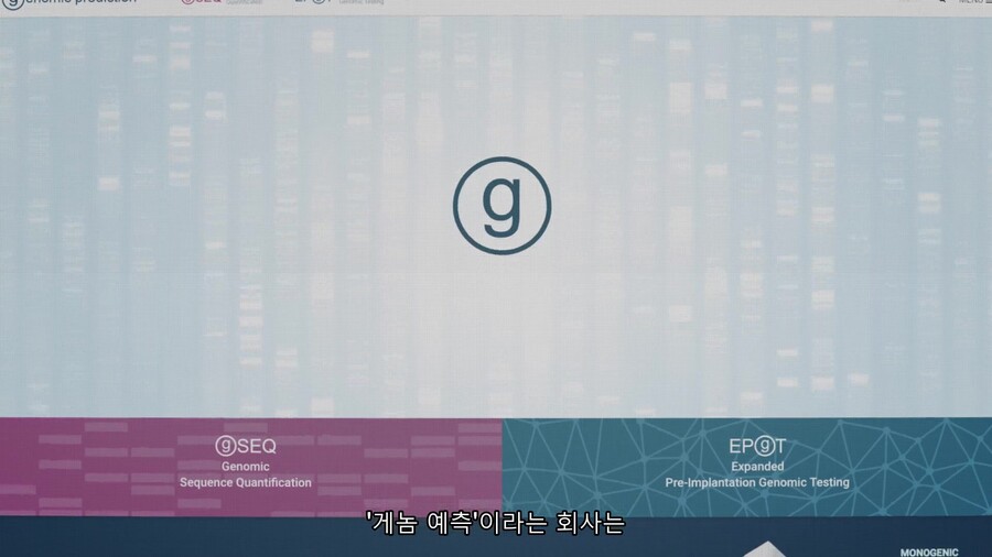 10년 뒤엔 IQ200이 평균이 될려나 ㄷㄷㄷㄷ_6.jpg