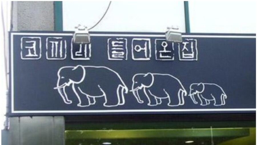 얼룩말 세로보다 더 큰 스케일의 탈주극
