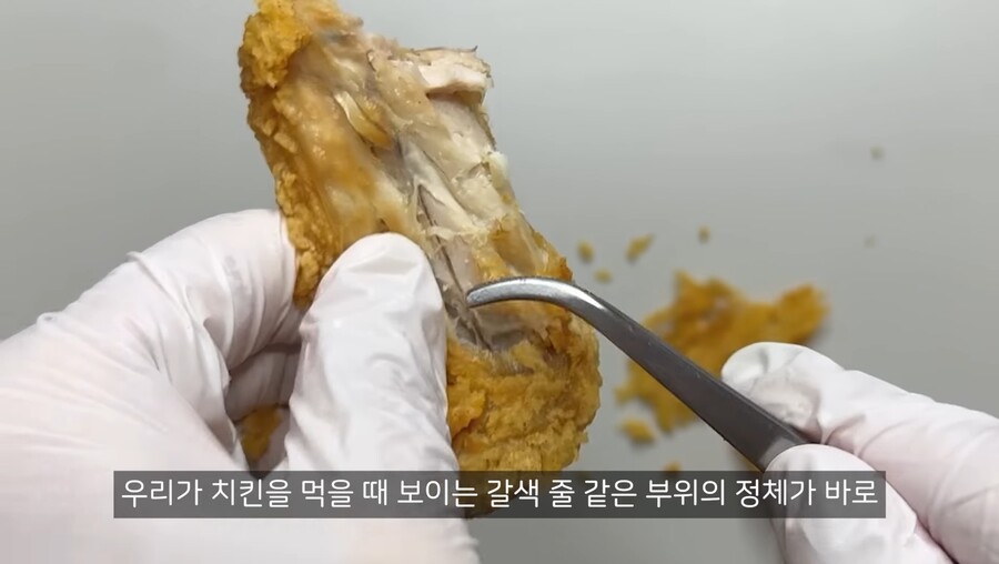 치킨 먹을때 보이는 검은색 줄의 정체.jpg_3.jpg