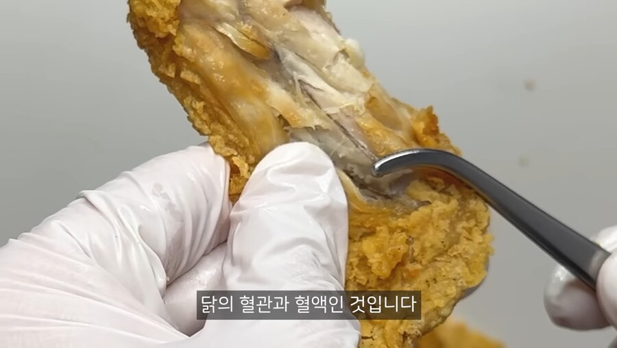 치킨 먹을때 보이는 검은색 줄의 정체.jpg_4.jpg