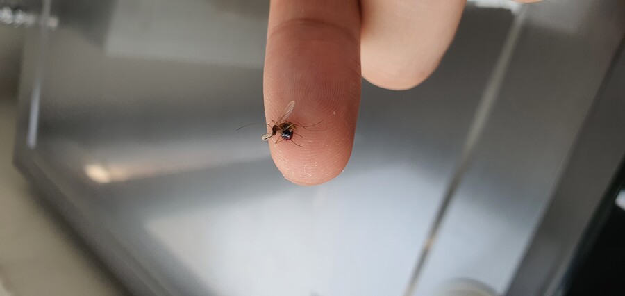 경험)손가락으로 암컷을 슬슬 농락하니 부륫뷰륫_1.jpg