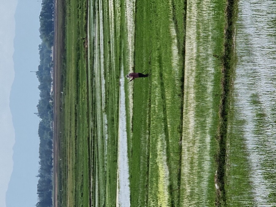 베트남 중부 남부 오토바이 여행기_12.jpg