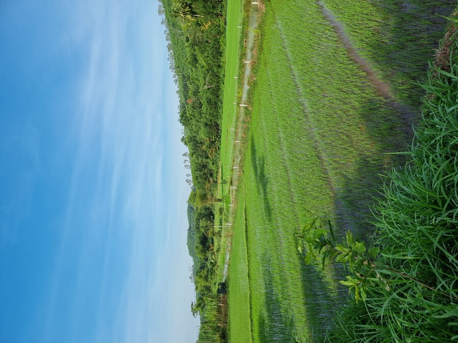 베트남 중부 남부 오토바이 여행기_27.jpg