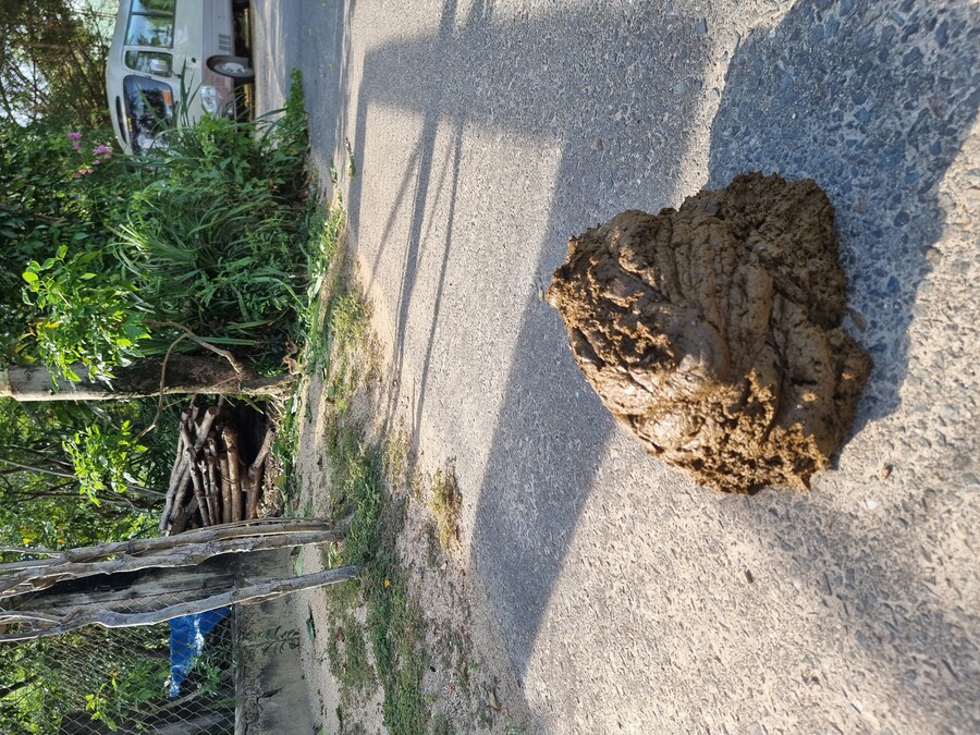 베트남 중부 남부 오토바이 여행기_29.jpg