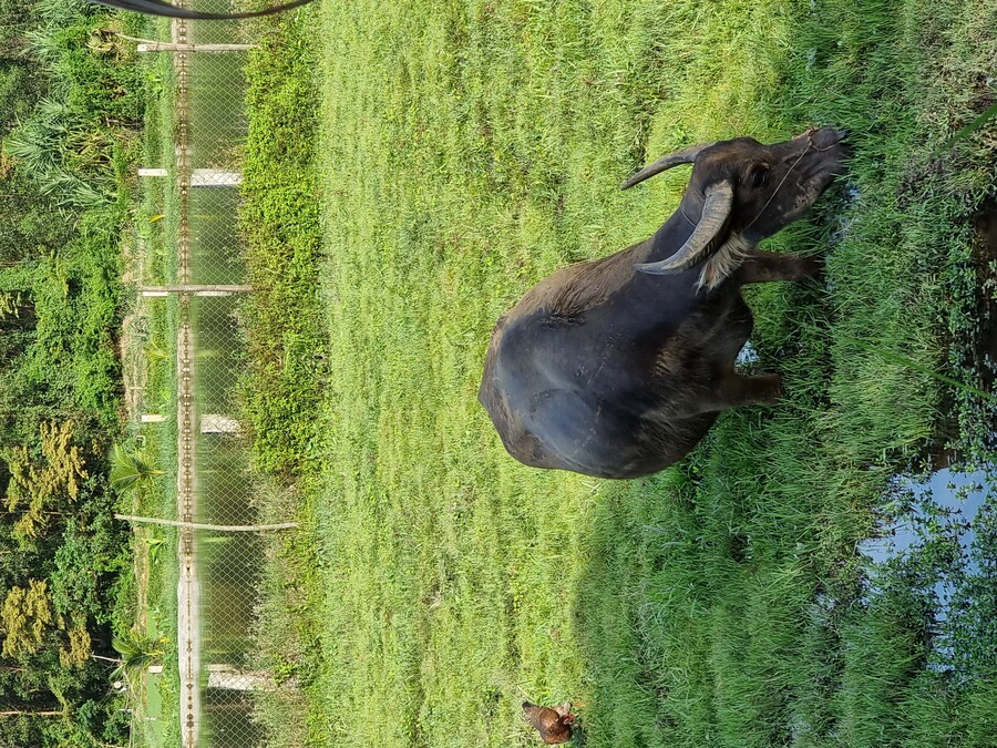 베트남 중부 남부 오토바이 여행기_30.jpg