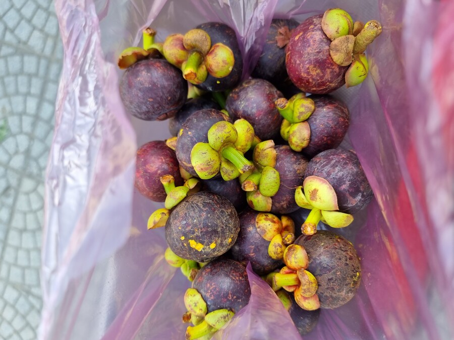 베트남 중부 남부 오토바이 여행기_34.jpg