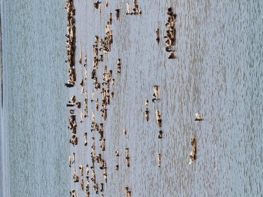 베트남 중부 남부 오토바이 여행기_61.jpg