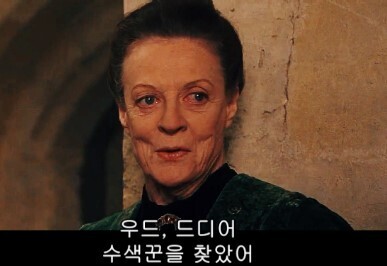 해리포터) 그리핀도르 퀴디치팀을 하드캐리한 말포이 군_4.jpg