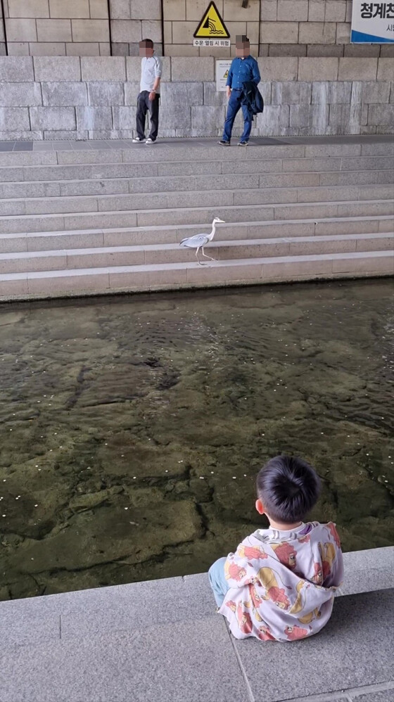 봄나들이 (스압주의)_24.png