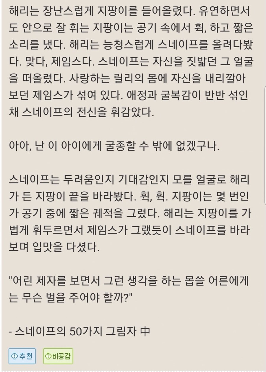해리포터.ts 히로인)스네이프의 그림자_2.jpg