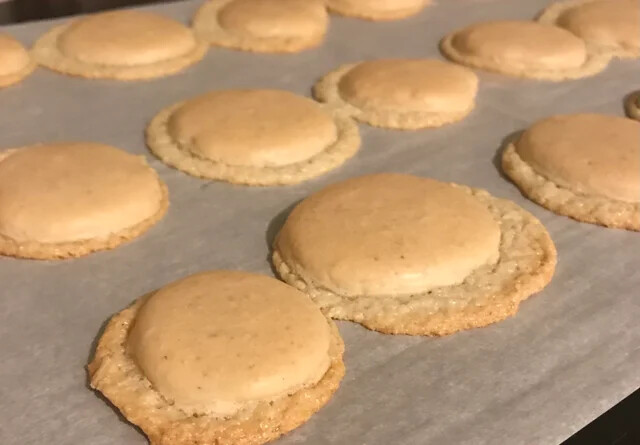 모모와 도련님의 대화 기록문 설정- 마카롱_3.png