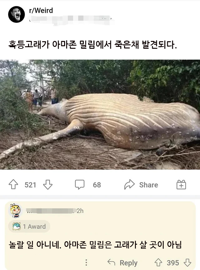 스압주의) "틀린말은 아님".png_13.png