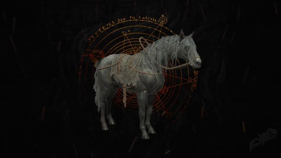 디아블로 4 신규 군마 탈것 외형 일부 공개! (총 17종)_6.png