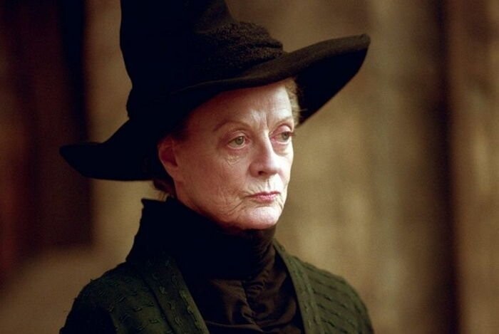 해리포터) 맥고나걸이 훌리건이 된 이유를 본편에서 짐작해보자_7.jpg