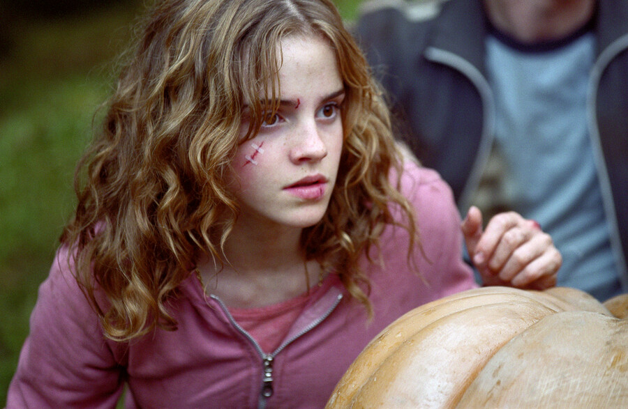 해리포터) 스네이프가 해리론헤르에게 쳐맞고 뻗어버린 사연_10.jpg