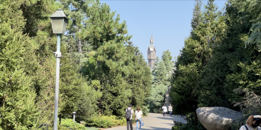 닌텐도월드! 유니버셜스튜디오재팬 (일본관서지역 2천킬로 자동차 여행 -2 )_7.png