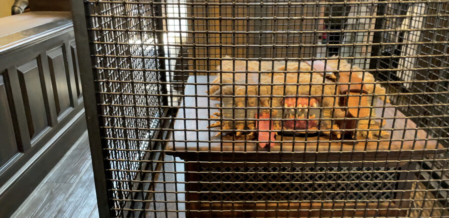 닌텐도월드! 유니버셜스튜디오재팬 (일본관서지역 2천킬로 자동차 여행 -2 )_13.png