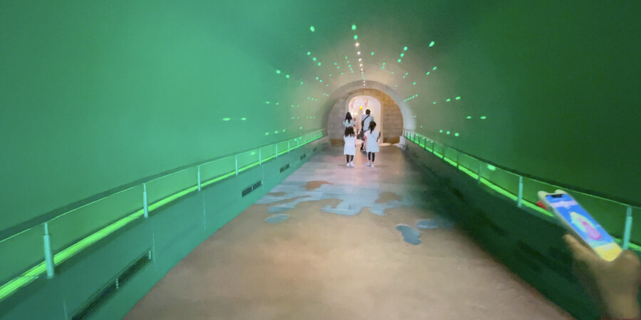 닌텐도월드! 유니버셜스튜디오재팬 (일본관서지역 2천킬로 자동차 여행 -2 )_29.png