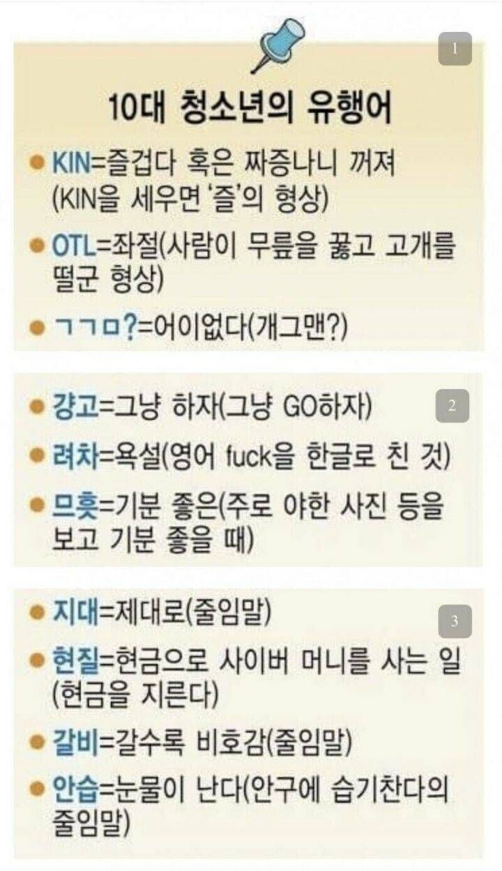 신세대라면 꼭 알아야할 최신 유행어 | 유머 게시판 | RULIWEB