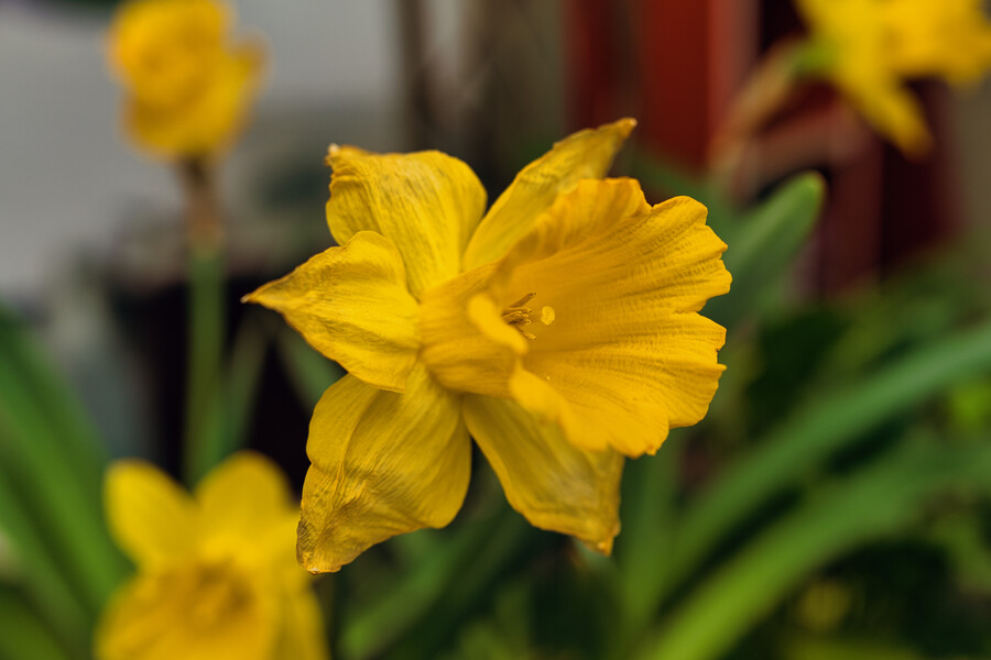 봄에 찍었던 사진 몇장 올려봅니다._13.jpg