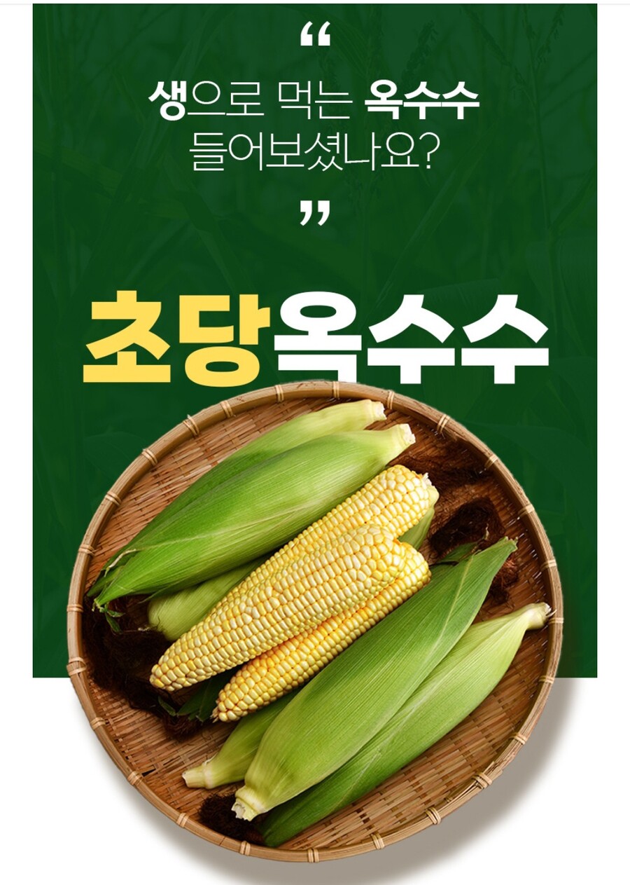 네이버 초 고당도 초당옥수수 첫출하 30세일 7900원무배