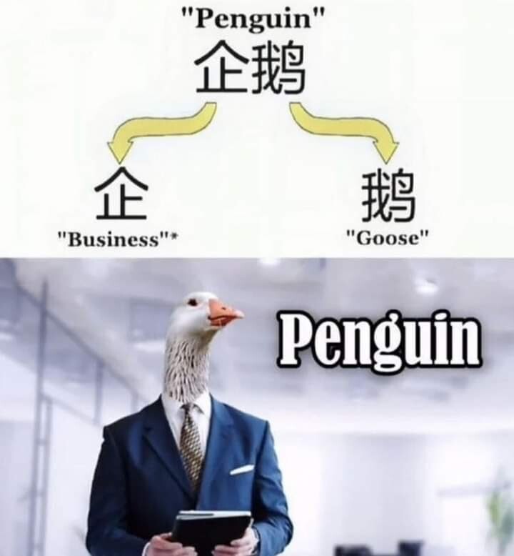 중국어로 펭귄을 뭐라고 하는지 알아보자_1.jpeg