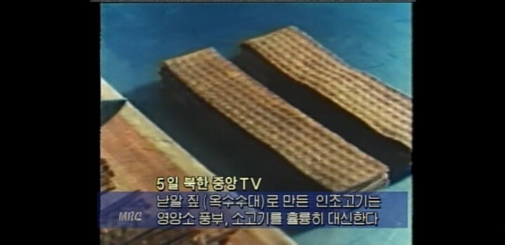 사이버펑크 2077) 세상이 대충 망하면 뭘 먹고 살까? 사펑의 식품들_6.jpg