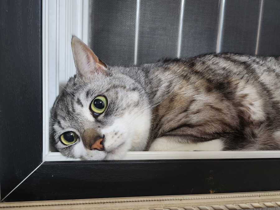 글유머)원빈씨, 가방에서 식초냄새가 나요!_1.jpg