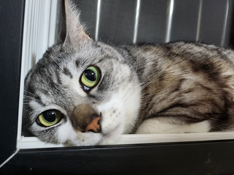 글유머)원빈씨, 가방에서 식초냄새가 나요!_2.jpg