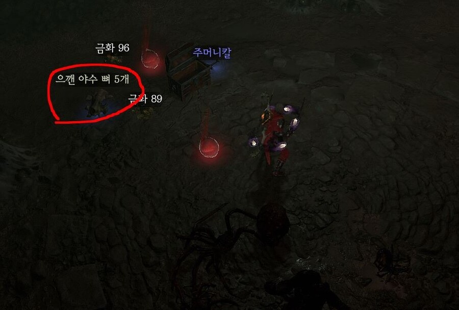 혹시 으깬 야수 뼈 때문에 고통 받는 분 있나요?_2.jpg