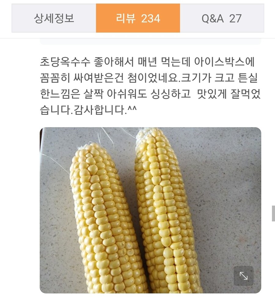 네이버 제주 초당옥수수 9900원 무료배송
