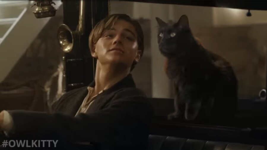 타이타닉) 사회적 장벽을 넘어서는 아름다운 사랑 이야기_4.jpg