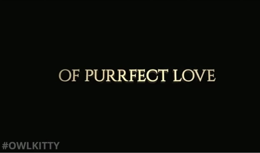 타이타닉) 사회적 장벽을 넘어서는 아름다운 사랑 이야기_13.jpg