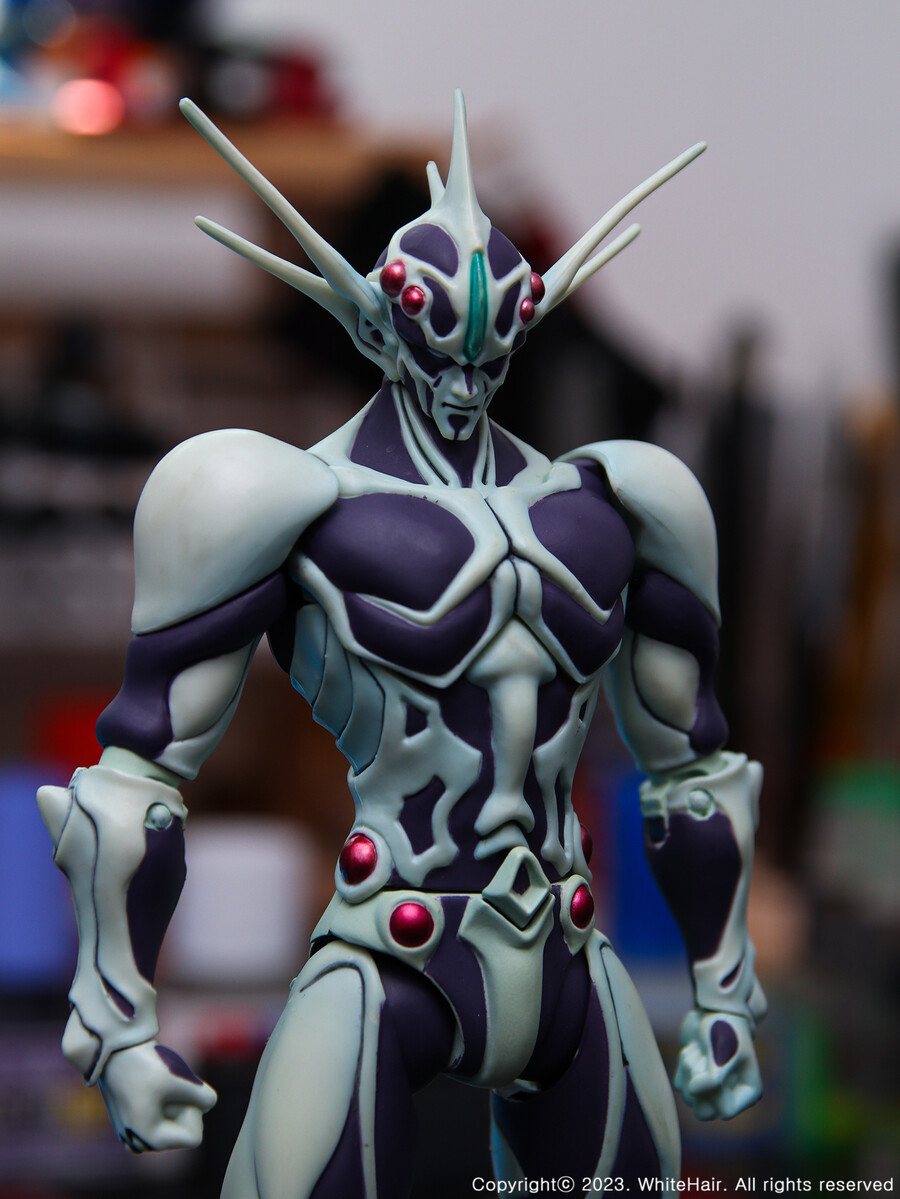 맥스팩토리 BFC 무라카미_8.jpg