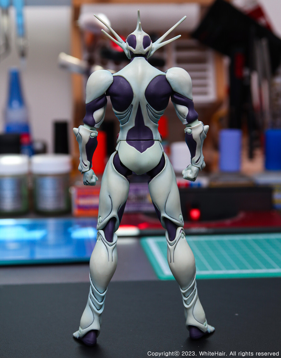 맥스팩토리 BFC 무라카미_12.jpg