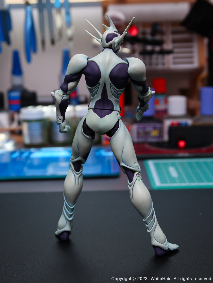 맥스팩토리 BFC 무라카미_15.jpg