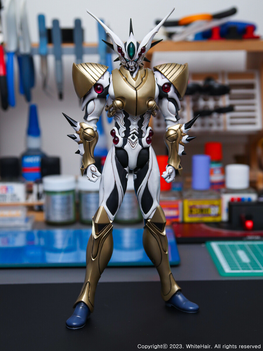 맥스팩토리 BFC 이마카람 미라빌리스_2.jpg