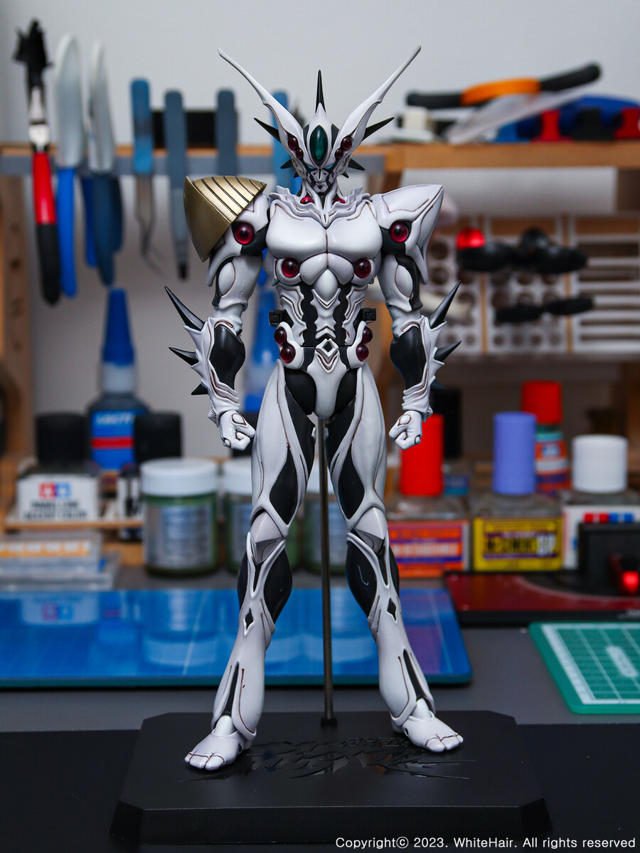 맥스팩토리 BFC 이마카람 미라빌리스_8.jpg